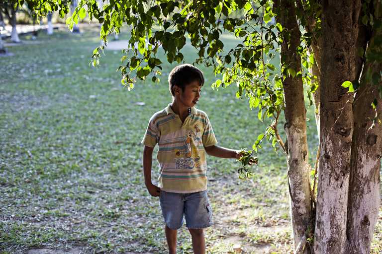 Álvaro steht an einem Baum im Garten.